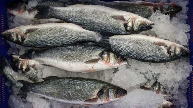 Karadeniz su ürünleri ihracatı arttı