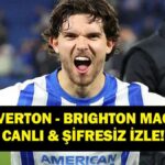 Everton'u İzle – Brighton Live Match