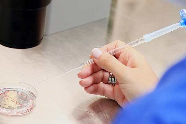 Çocuk sahibi olmak zor! Uzmanların adı, spermatozoa sayısının düşüşünde en büyük faktörü açıkladı.