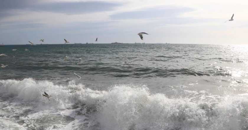 Marmara kıyısında 1,6 milyon insan iklime dayalı risklerle karşı karşıya.