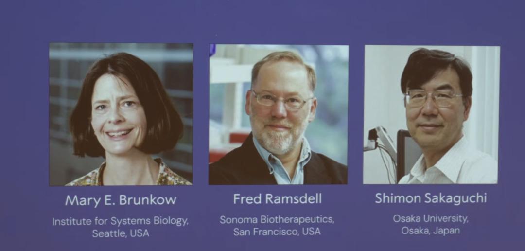 2025 Nobel Tıbbi Ödüllerinin sahipleri açıklandı! 2025 Nobel Tıp Ödülü'nü kim kazandı? 3