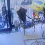 4 kişilik Böcek ailesi İstanbul'da hayatını kaybetti! 4 kişi tutuklandı