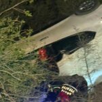 Adana'da uçuruma düşen otomobilin sürücüsü yaralandı