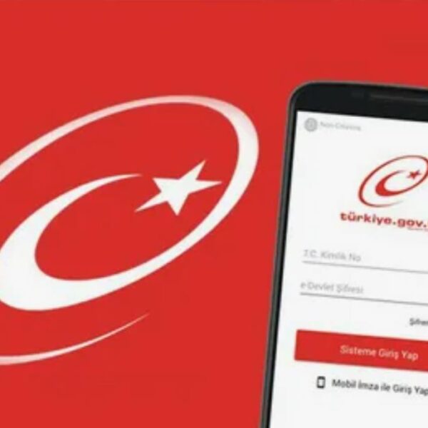 E Devlet platformunda çoğu kişinin bilmediği işlemler ilgi topluyor
