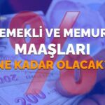 2026’da Emekli ve Memur Maaşlarına Ne Kadar Zam Yapılacak? SSK ve Bağ-Kur Maaşları Yüzde Kaç Artacak?
